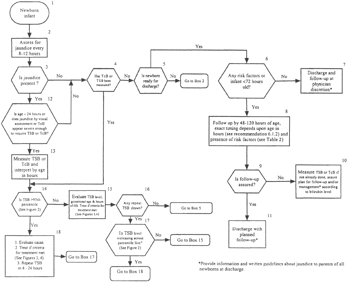 Fig13-1.gif