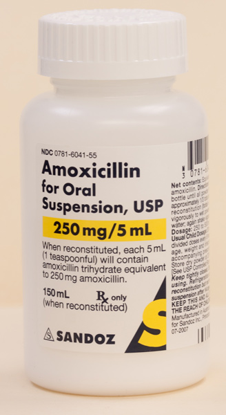 amoxicillin_195-9029.jpg