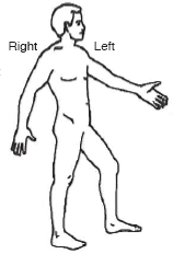 Figure 15-1_b