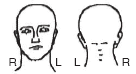 Figure 15-1_e