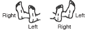 Figure 15-1_g