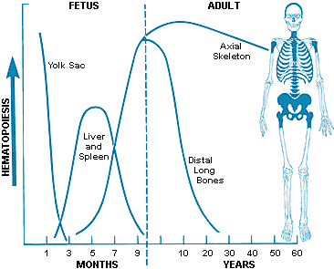 fig1-1.gif