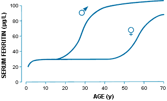 fig1-3.gif