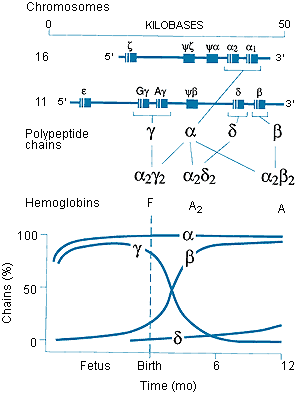 fig1-4.gif