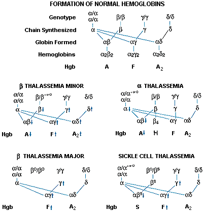 fig1-5.gif