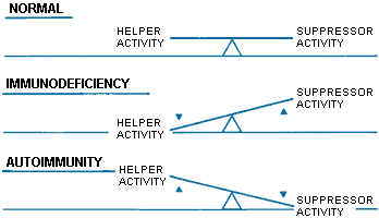 fig3-1.gif