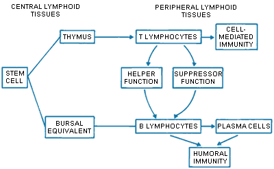 fig3-2.gif