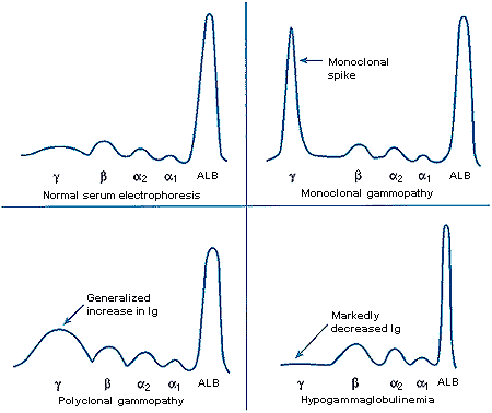 fig3-5.gif