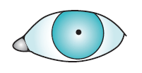 EYE1