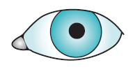 EYE2