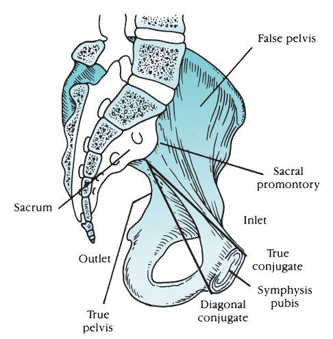 Figure-4.1