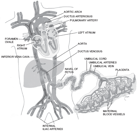 Figure-4.11
