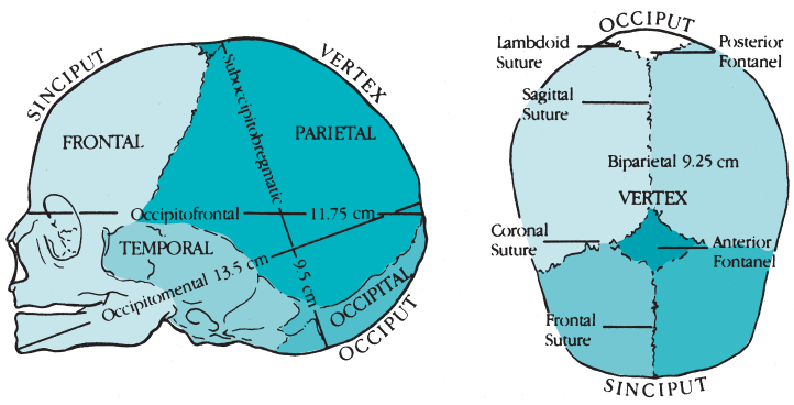 Figure-4.7