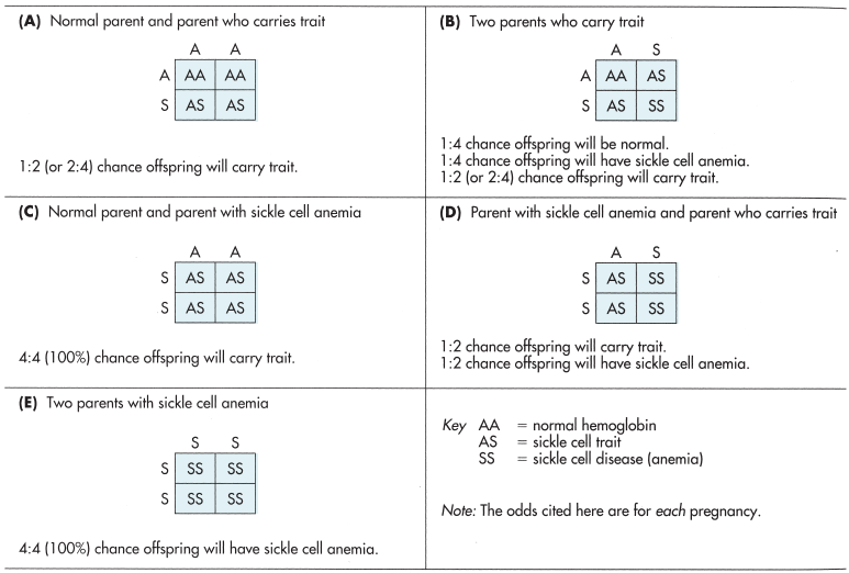 Figure-5.10