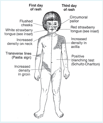 Figure-Table-5.19i