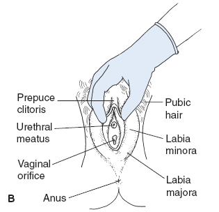 FIGURE-8.7B